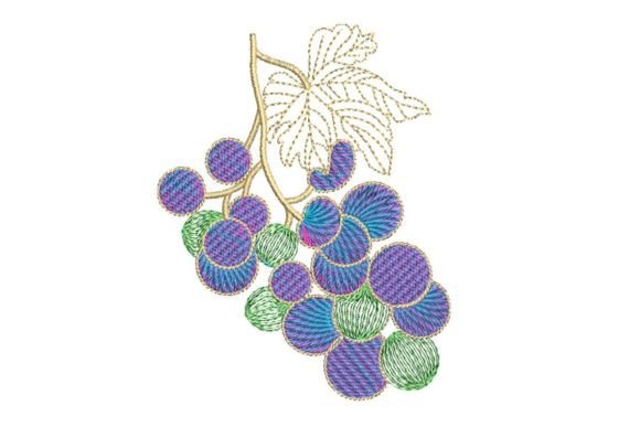 Grapes Style Motif: A Designer's Honest Sweatshirt Review