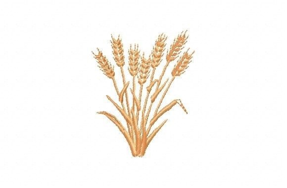 Wheat: A Designer’s Honest Review for Boutique Sweatshirts